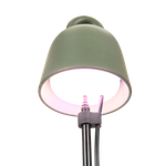 leaf light care 36cm laubgrün